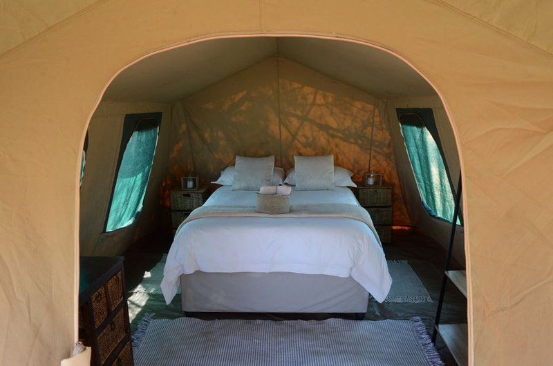 Ngiri Safaris Dinokeng Game Reserve Gauteng South Africa Tent, Architecture, Bedroom