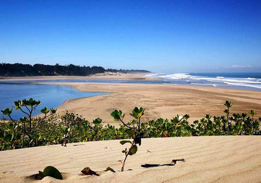 Ngoye Lodge Mtunzini Kwazulu Natal South Africa Complementary Colors, Colorful, Beach, Nature, Sand