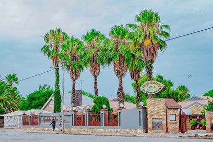 Ngulube Lodge Vryburg North West Province South Africa Palm Tree, Plant, Nature, Wood, Sign