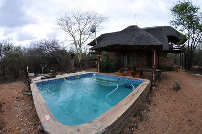 Ngululu Marloth Park Mpumalanga South Africa Swimming Pool