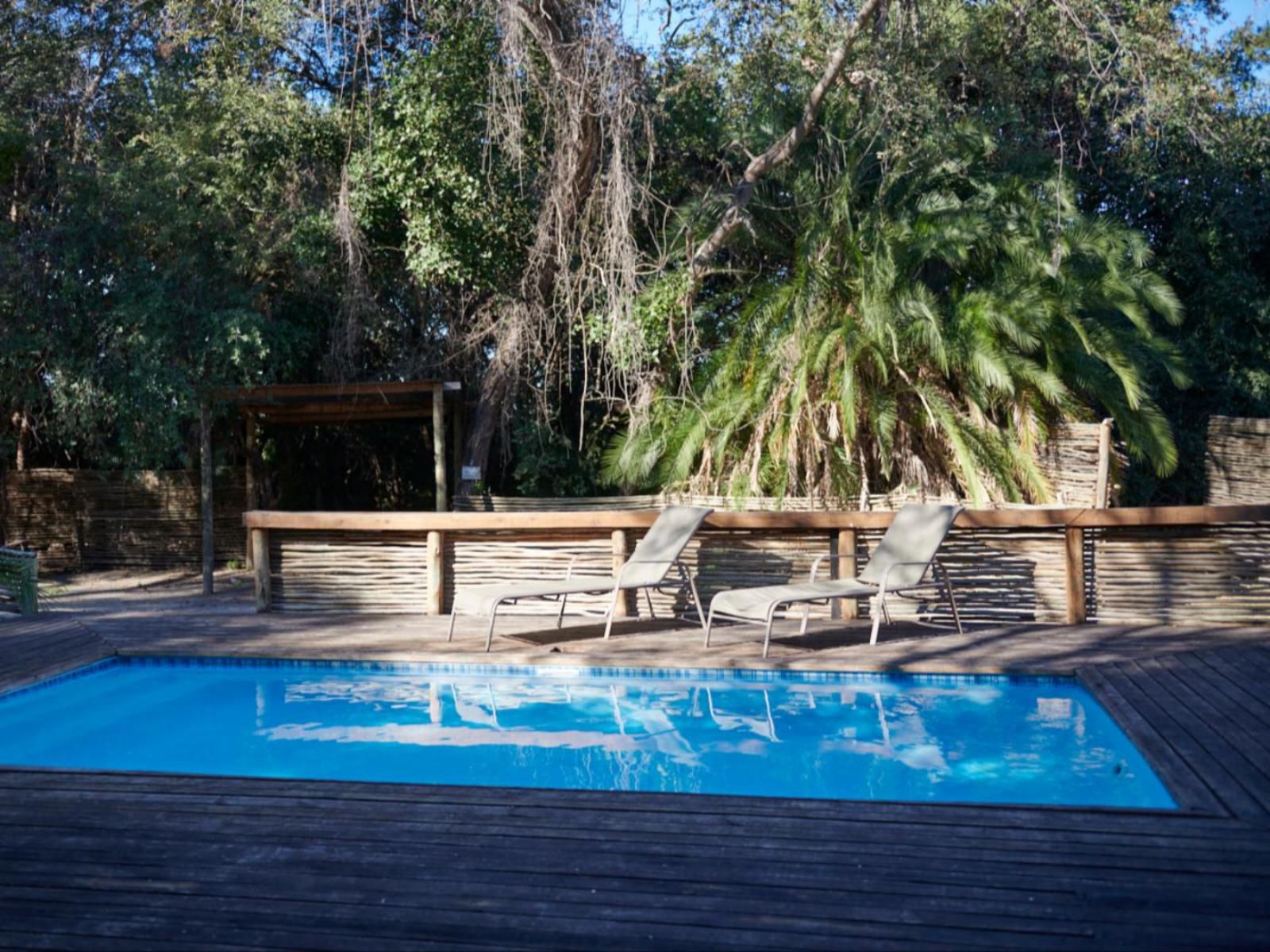 Nguma Island Lodge, Swimming Pool