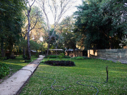 Nguma Island Lodge, Campsites, Plant, Nature, Tree, Wood, Garden