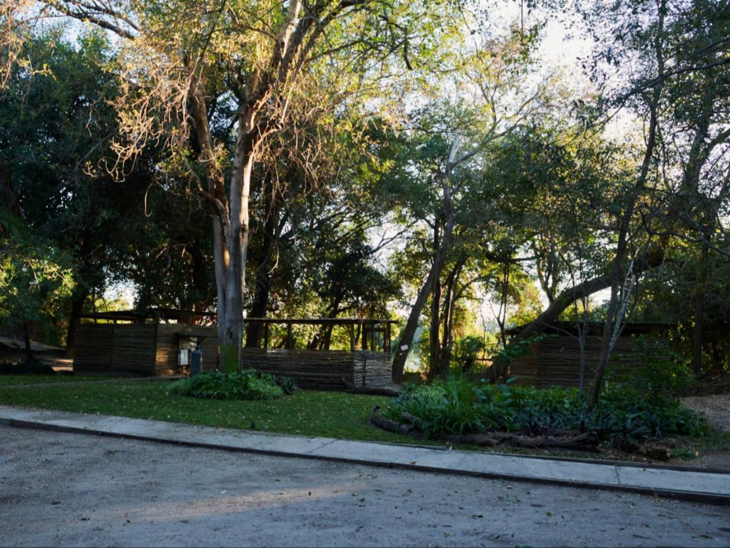 Nguma Island Lodge, Meru Style Tent, Plant, Nature, Tree, Wood, Garden