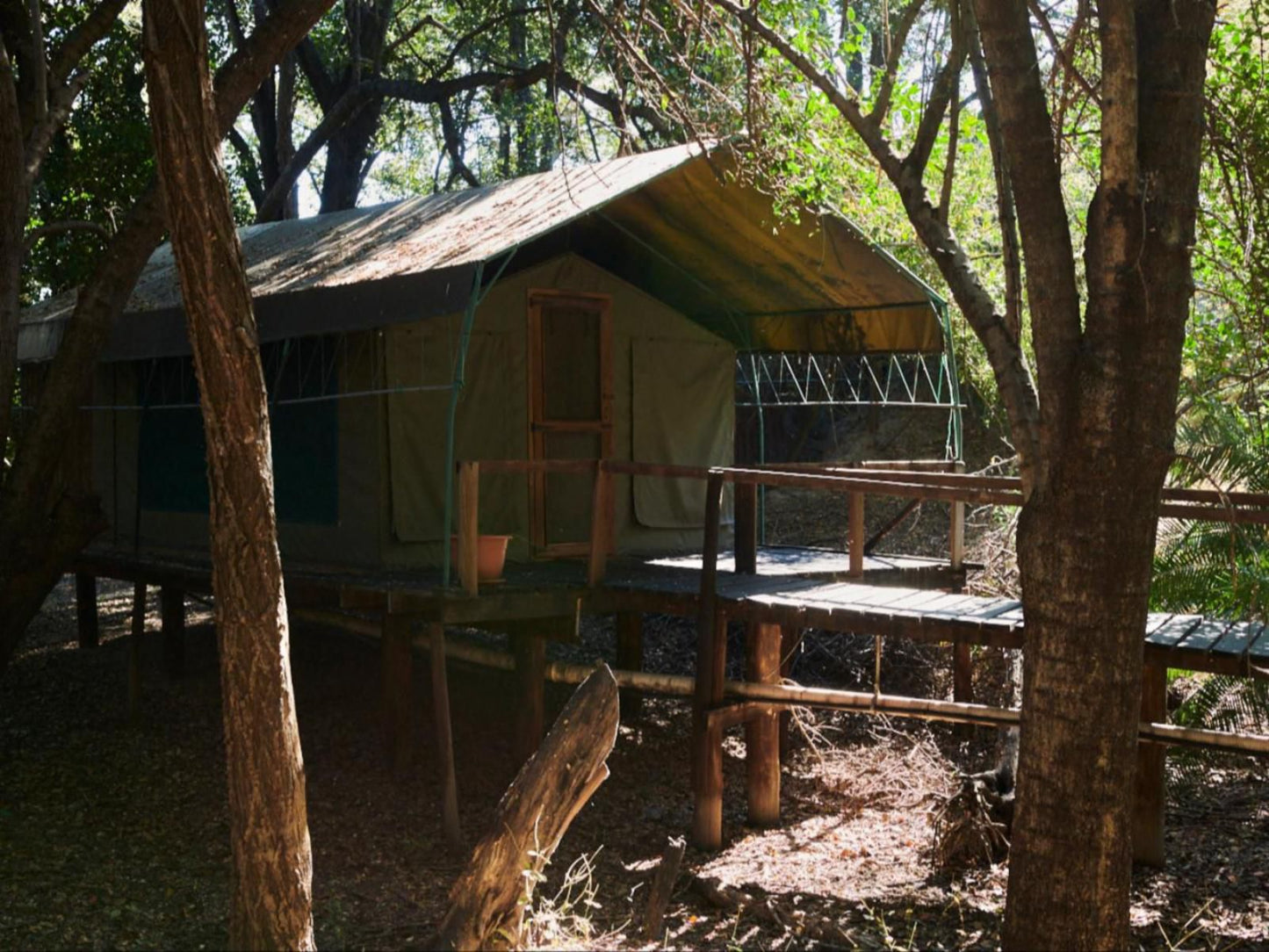 Nguma Island Lodge, Meru Style Tent, Cabin, Building, Architecture, Forest, Nature, Plant, Tree, Wood