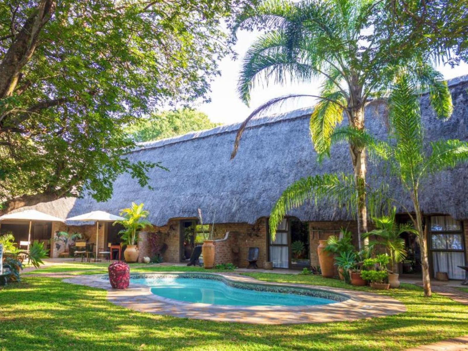 Nguni Lodge, Palm Tree, Plant, Nature, Wood, Garden, Swimming Pool