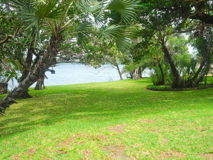 Nhambavale Lodge, Beach, Nature, Sand, Island, Palm Tree, Plant, Wood