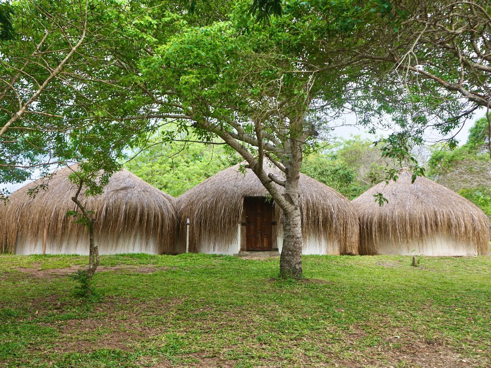 Nhambavale Lodge, Island, Nature