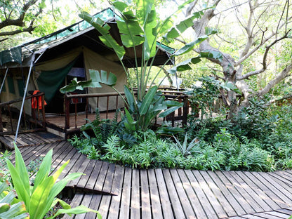 Nhonguane Lodge, House 2: 2 Bedroom House, Plant, Nature, Garden