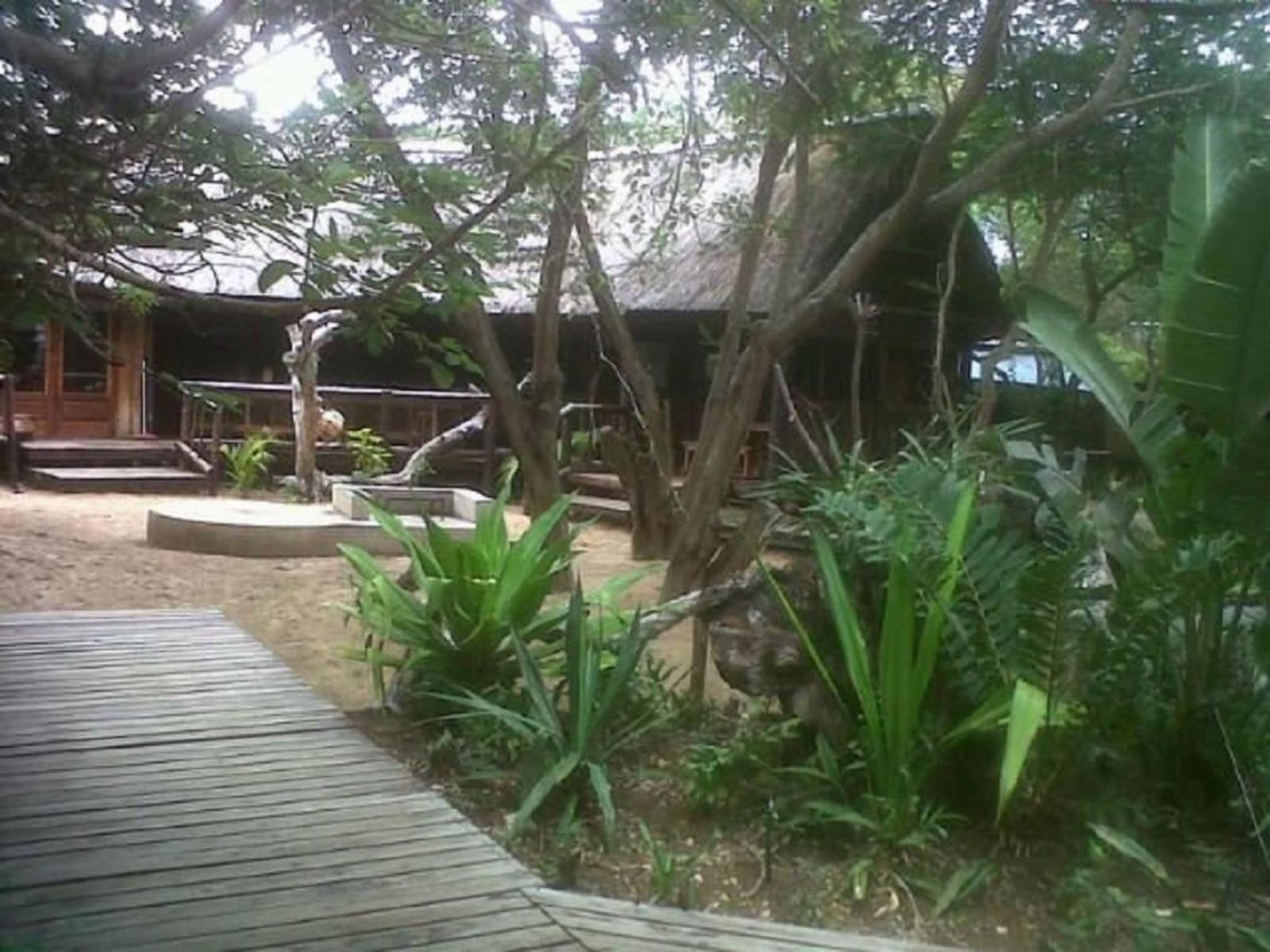 Nhonguane Lodge, House 3: 3 Bedroom House, Palm Tree, Plant, Nature, Wood, Garden