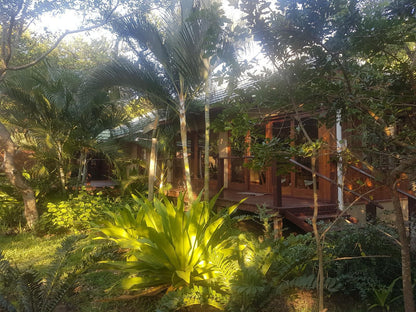 Nhonguane Lodge, House 4: 3 Bedroom House/pool, Palm Tree, Plant, Nature, Wood, Garden