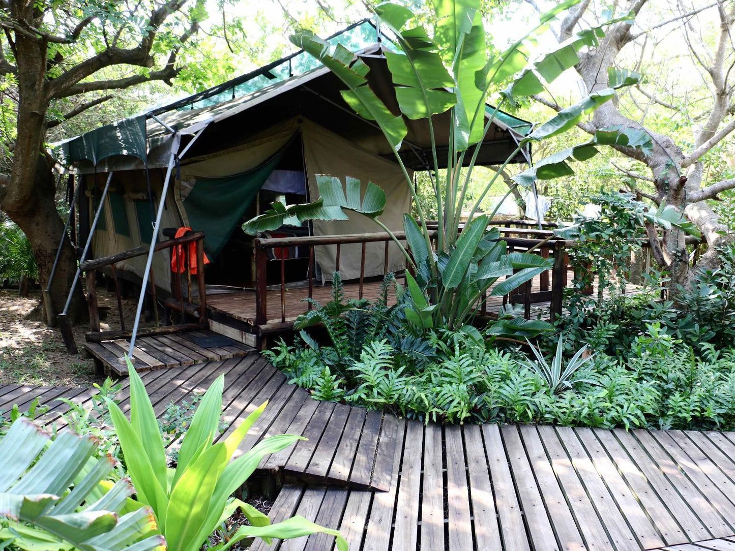 Nhonguane Lodge, Safari camp room, Plant, Nature