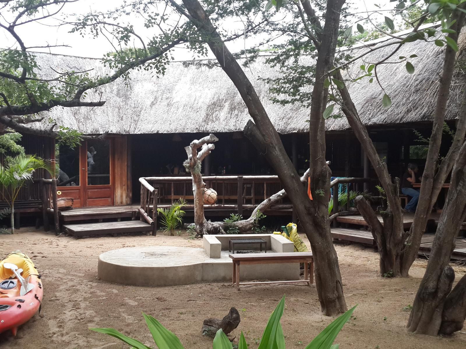 Nhonguane Lodge, Safari Tent 1: Double & Single Beds, Reptile, Animal, Person