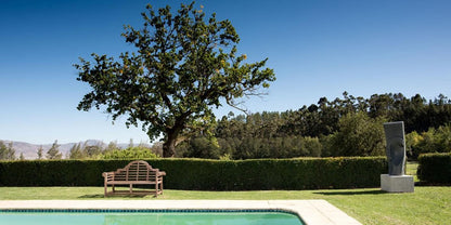 Nibbana Farm Tulbagh Western Cape South Africa Plant, Nature, Tree, Wood, Garden, Swimming Pool