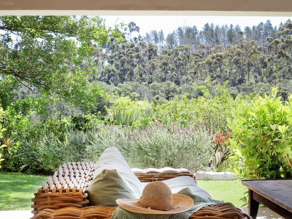 Nibbana Farm Tulbagh Western Cape South Africa Plant, Nature