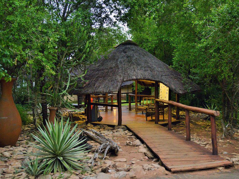 Nibela Lake Lodge By Dream Resorts Hluhluwe Kwazulu Natal South Africa 