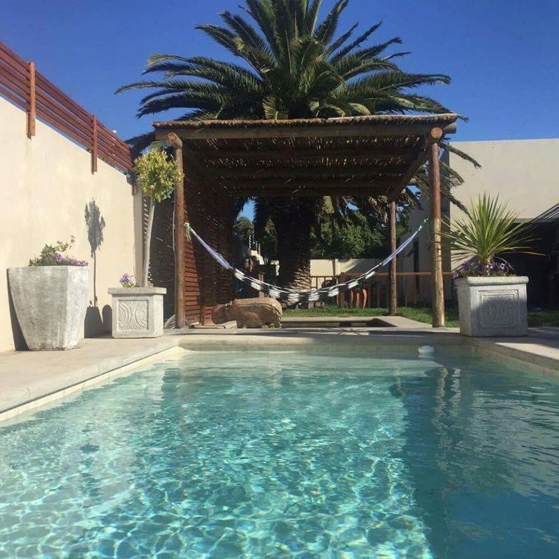 Nicky S Place Blouberg Rise Cape Town Western Cape South Africa Palm Tree, Plant, Nature, Wood, Swimming Pool