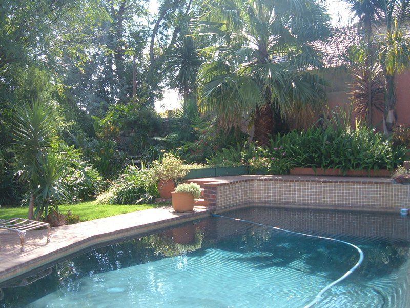 Nicol View Guest Lodge Parkmore Johannesburg Gauteng South Africa Palm Tree, Plant, Nature, Wood, Garden, Swimming Pool