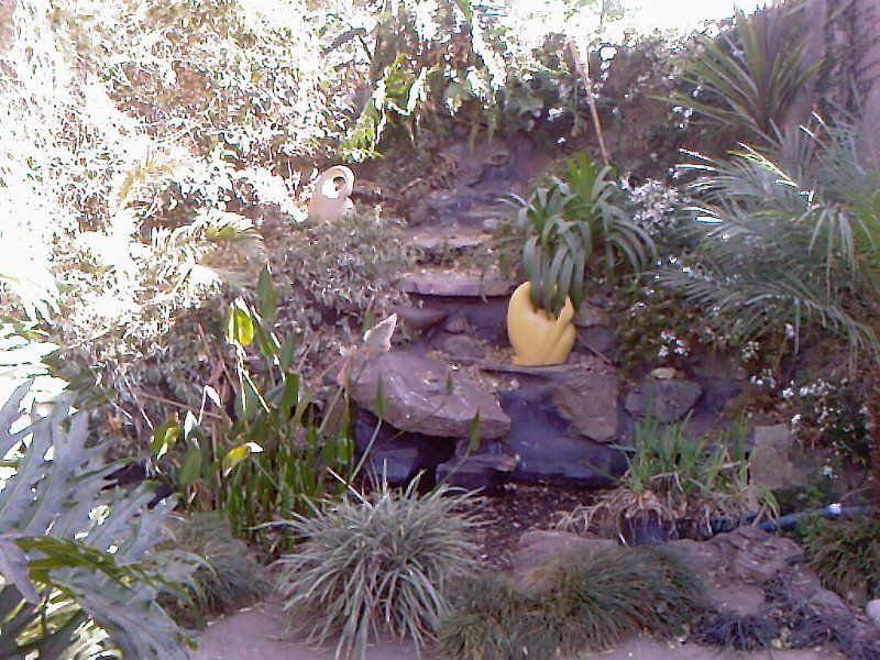 Nicol View Guest Lodge Parkmore Johannesburg Gauteng South Africa Palm Tree, Plant, Nature, Wood, Garden