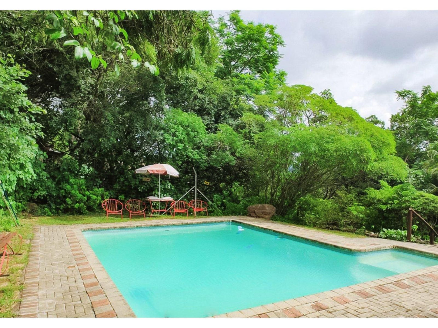 Impala Self Catering Chalets Numbi Park Hazyview Mpumalanga South Africa Garden, Nature, Plant, Swimming Pool