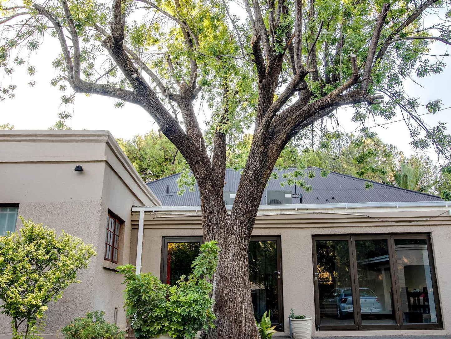 Nightingale Guest House Park West Bloemfontein Free State South Africa House, Building, Architecture, Plant, Nature, Tree, Wood, Garden