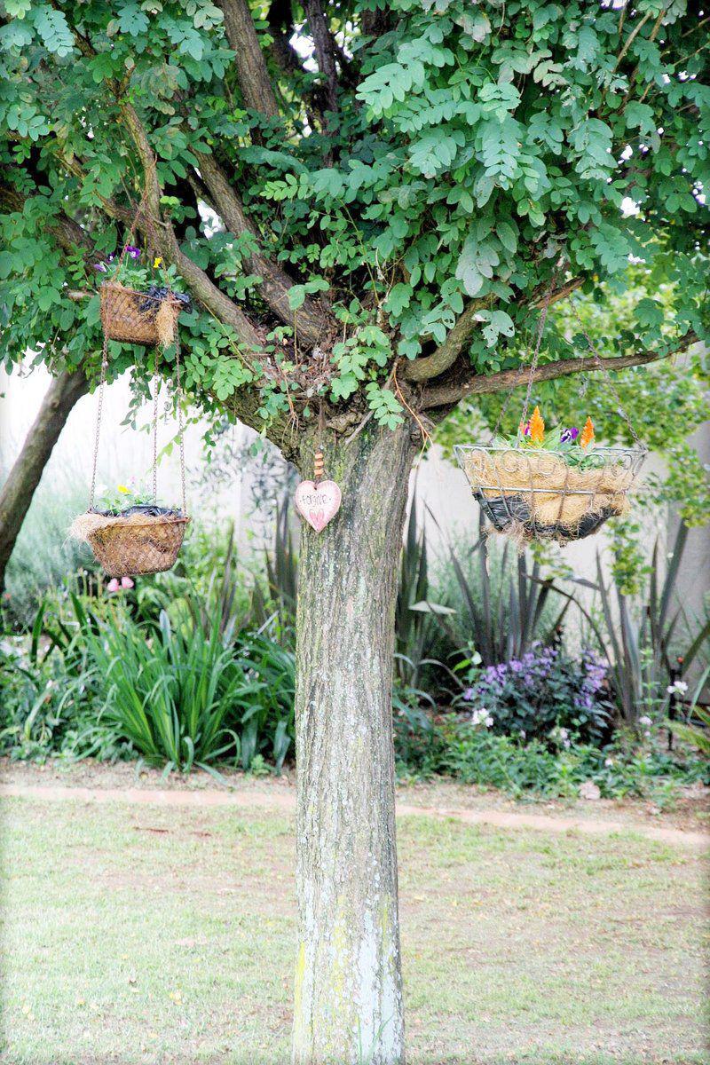 Plant, Nature, Garden, Nimbati Lodge, Pomona, Johannesburg