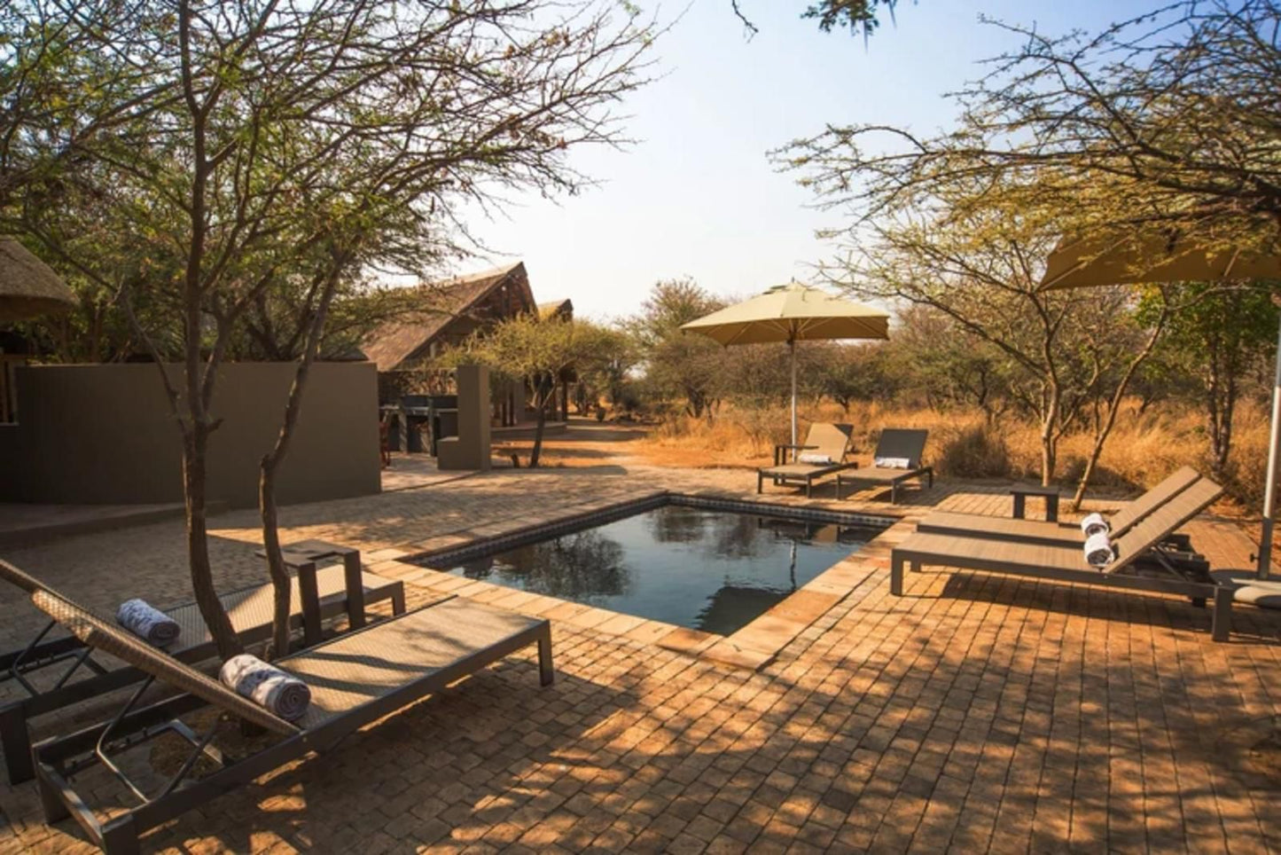 Nkala Safari Lodge Pilanesberg Game Reserve North West Province South Africa Swimming Pool