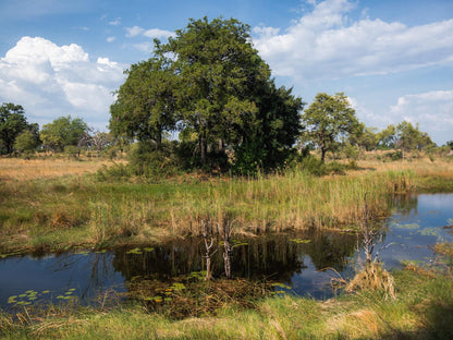 Nkasa Lupala Tented Lodge, River, Nature, Waters, Tree, Plant, Wood, Lowland