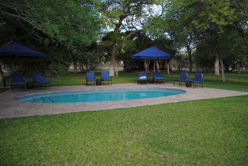 N Kaya Lodge Thornybush Game Reserve Mpumalanga South Africa Swimming Pool