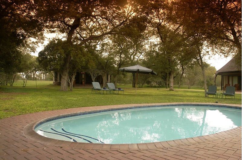 N Kaya Lodge Thornybush Game Reserve Mpumalanga South Africa Swimming Pool