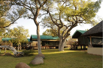 Nkelenga Tented Camp Thornybush Game Reserve Mpumalanga South Africa 