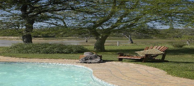 Nkelenga Tented Camp Thornybush Game Reserve Mpumalanga South Africa Swimming Pool