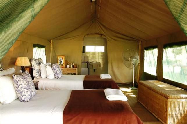 Nkelenga Tented Camp Thornybush Game Reserve Mpumalanga South Africa Tent, Architecture, Bedroom