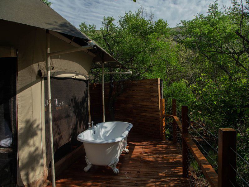Nkomazi Game Reserve Badplaas Mpumalanga South Africa 
