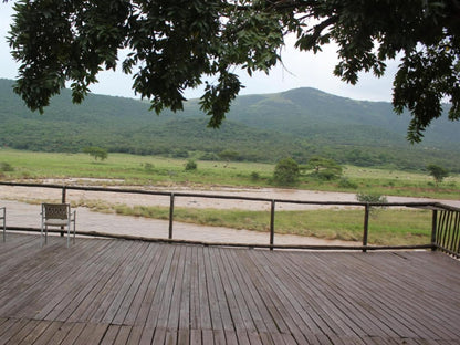 Nkonka Safaris, Lafafa Camp, Tree, Plant, Nature, Wood