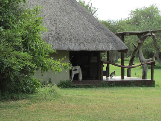 Nkonkoni Fishing Camp Pongola Kwazulu Natal South Africa Building, Architecture