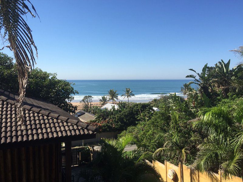 Nkwazi Tree Lodge Zinkwazi Zinkwazi Beach Nkwazi Kwazulu Natal South Africa Beach, Nature, Sand, Palm Tree, Plant, Wood, Ocean, Waters