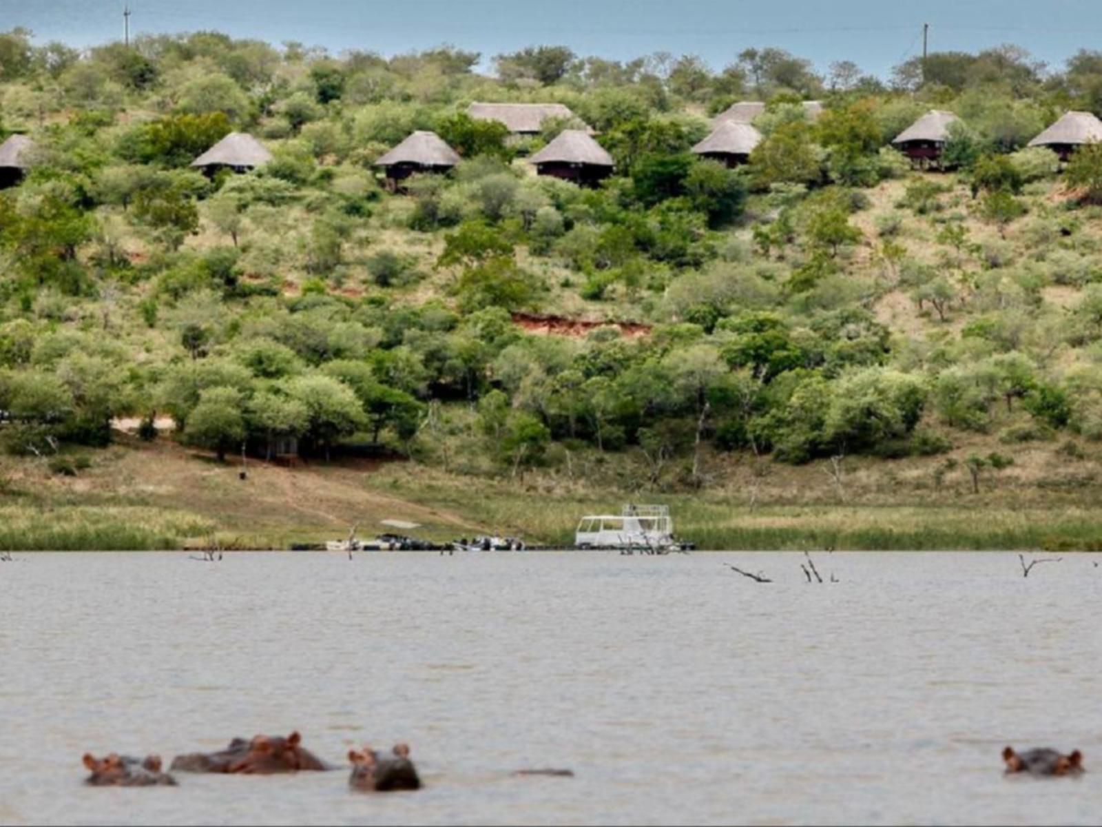 Nkwazi Lake Lodge Pongola Kwazulu Natal South Africa Boat, Vehicle, Lake, Nature, Waters, River