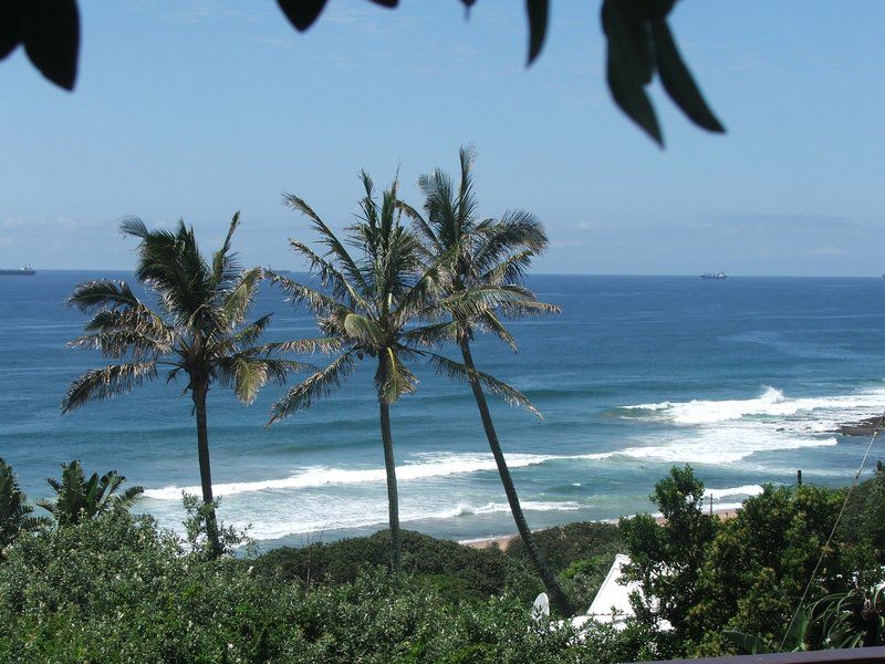 No 5 Bahia Village Umdloti Beach Durban Kwazulu Natal South Africa Beach, Nature, Sand, Palm Tree, Plant, Wood, Ocean, Waters