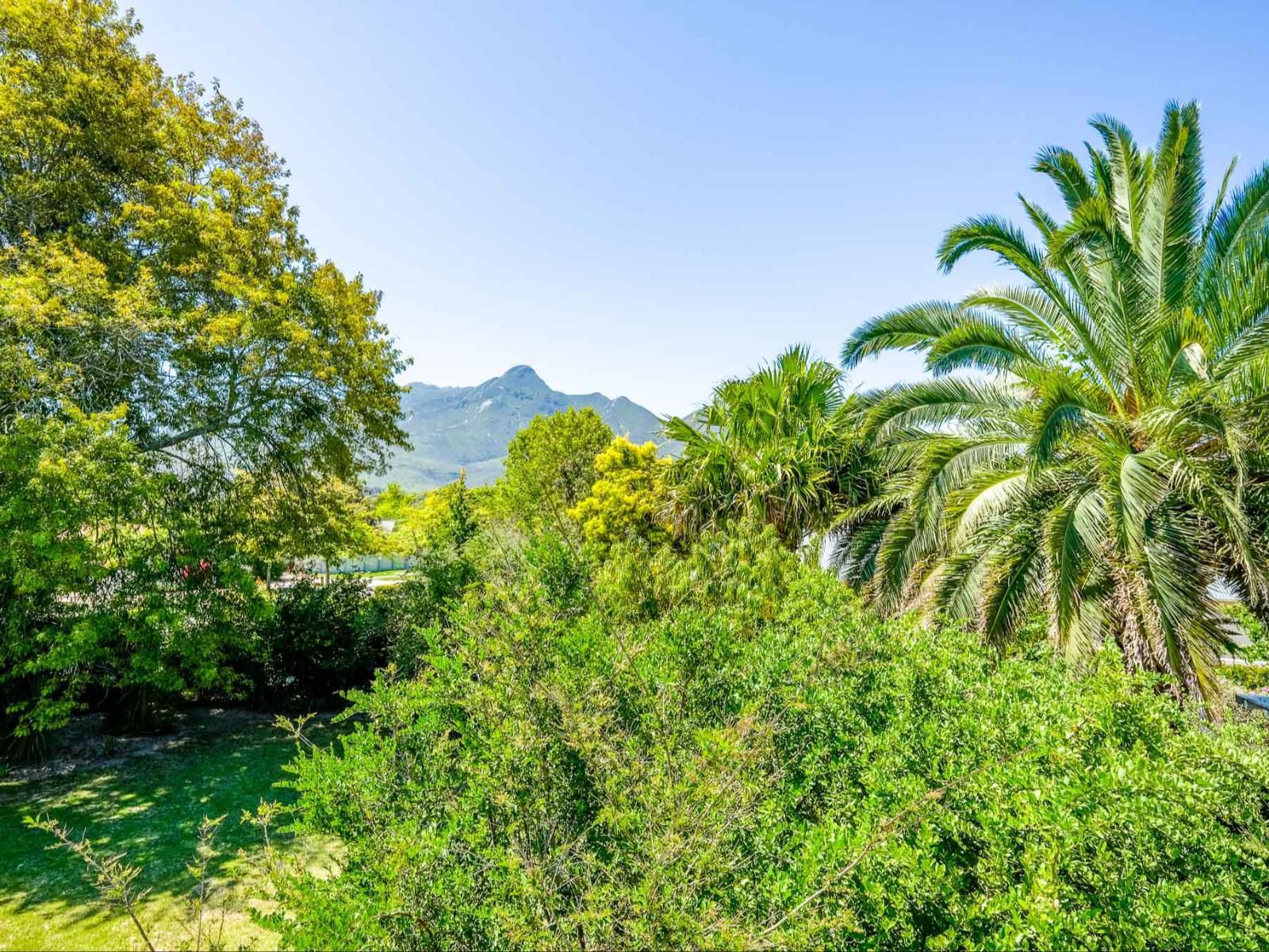 No 10 Caledon Street Guest House Camphers Drift George Western Cape South Africa Complementary Colors, Colorful, Palm Tree, Plant, Nature, Wood