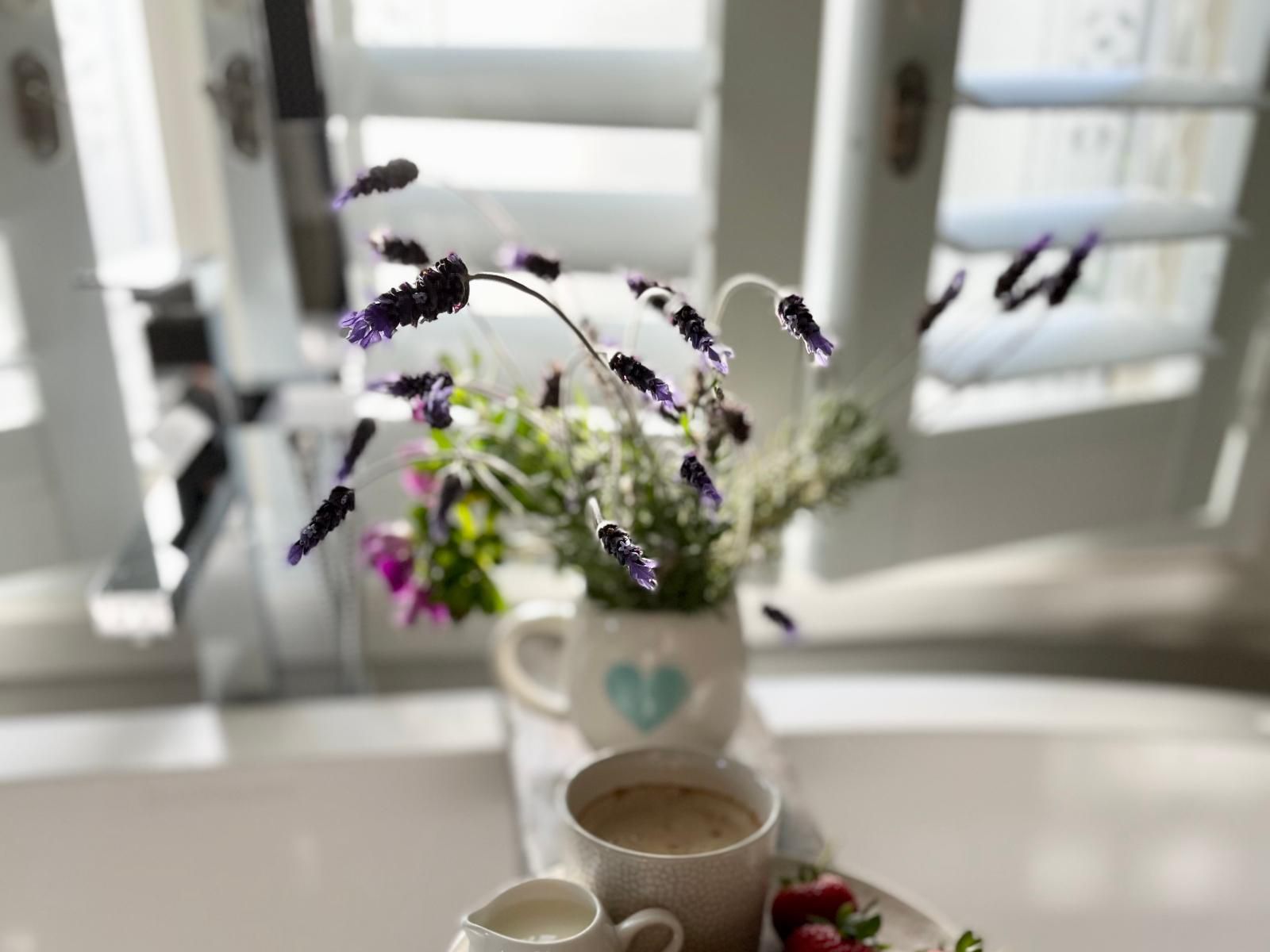 No2 Merlot, Blossom, Plant, Nature, Cup, Drinking Accessoire, Drink