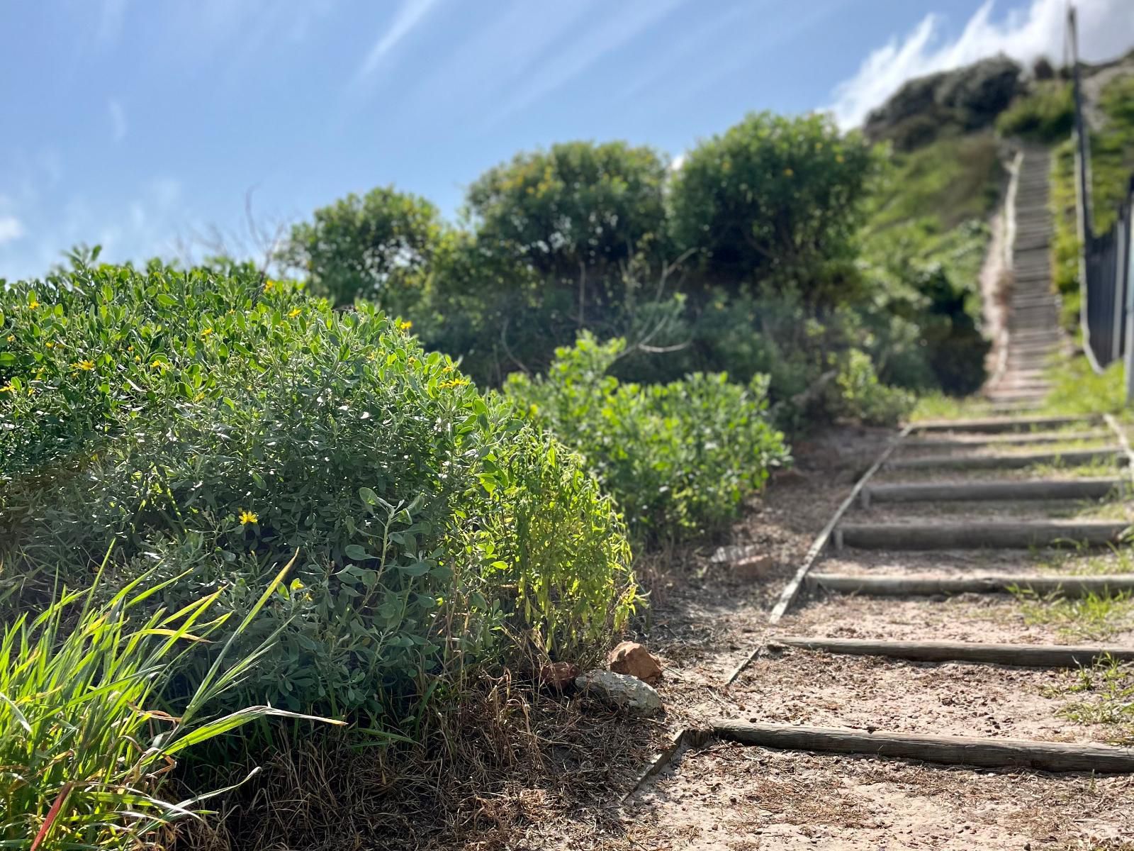 No2 Merlot, Railroad, Leading Lines