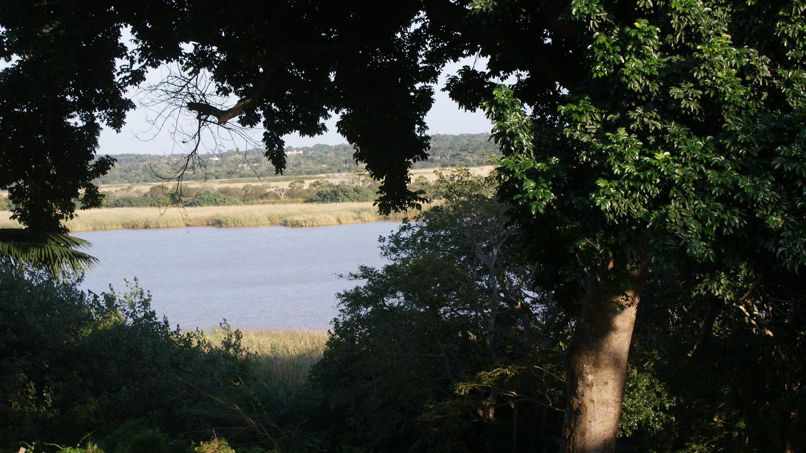 No 6 The Bridge Self Catering Apartment St Lucia Kwazulu Natal South Africa Lake, Nature, Waters, River, Tree, Plant, Wood