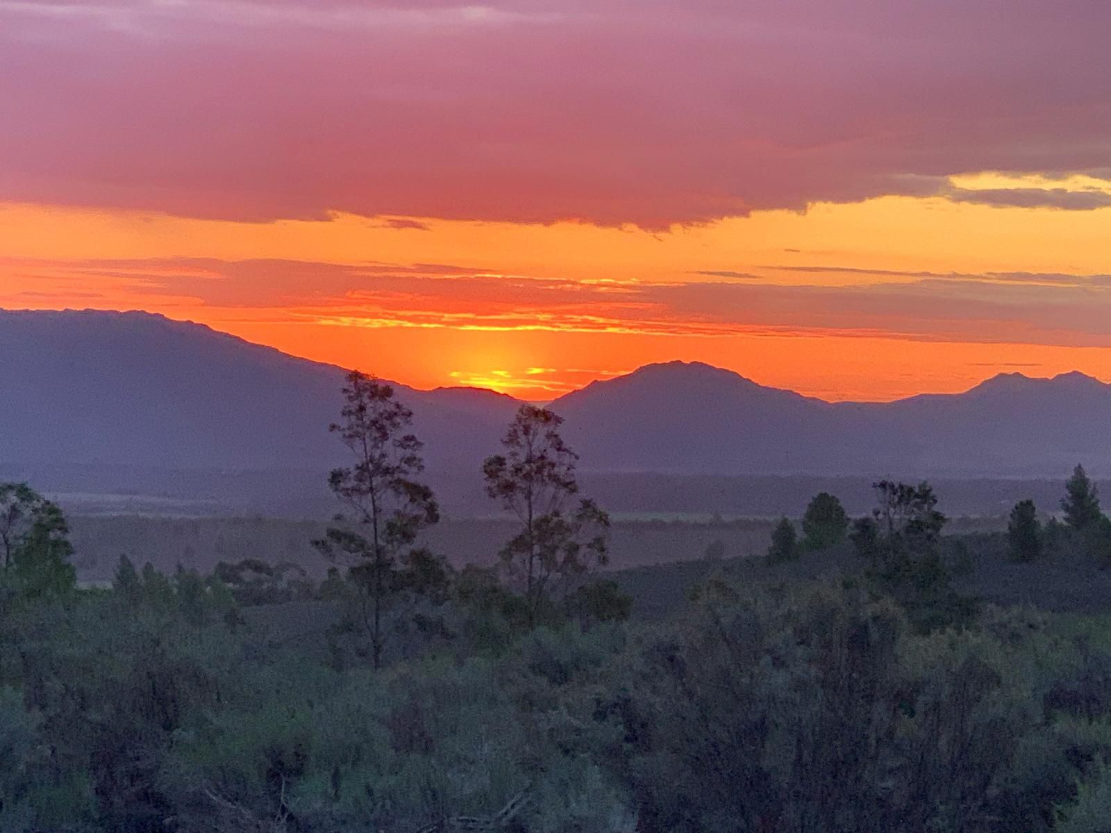 Noah Farm Campsite Wolseley Western Cape South Africa Sky, Nature, Framing, Sunset