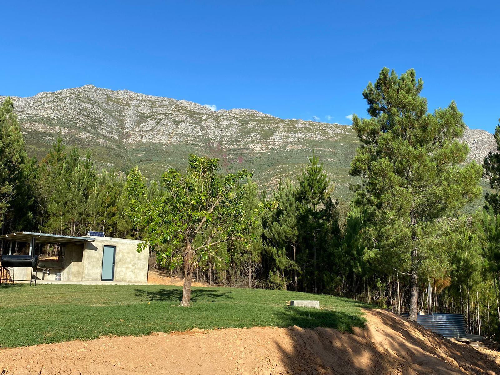 Noah Farm Campsite Wolseley Western Cape South Africa Complementary Colors, Nature