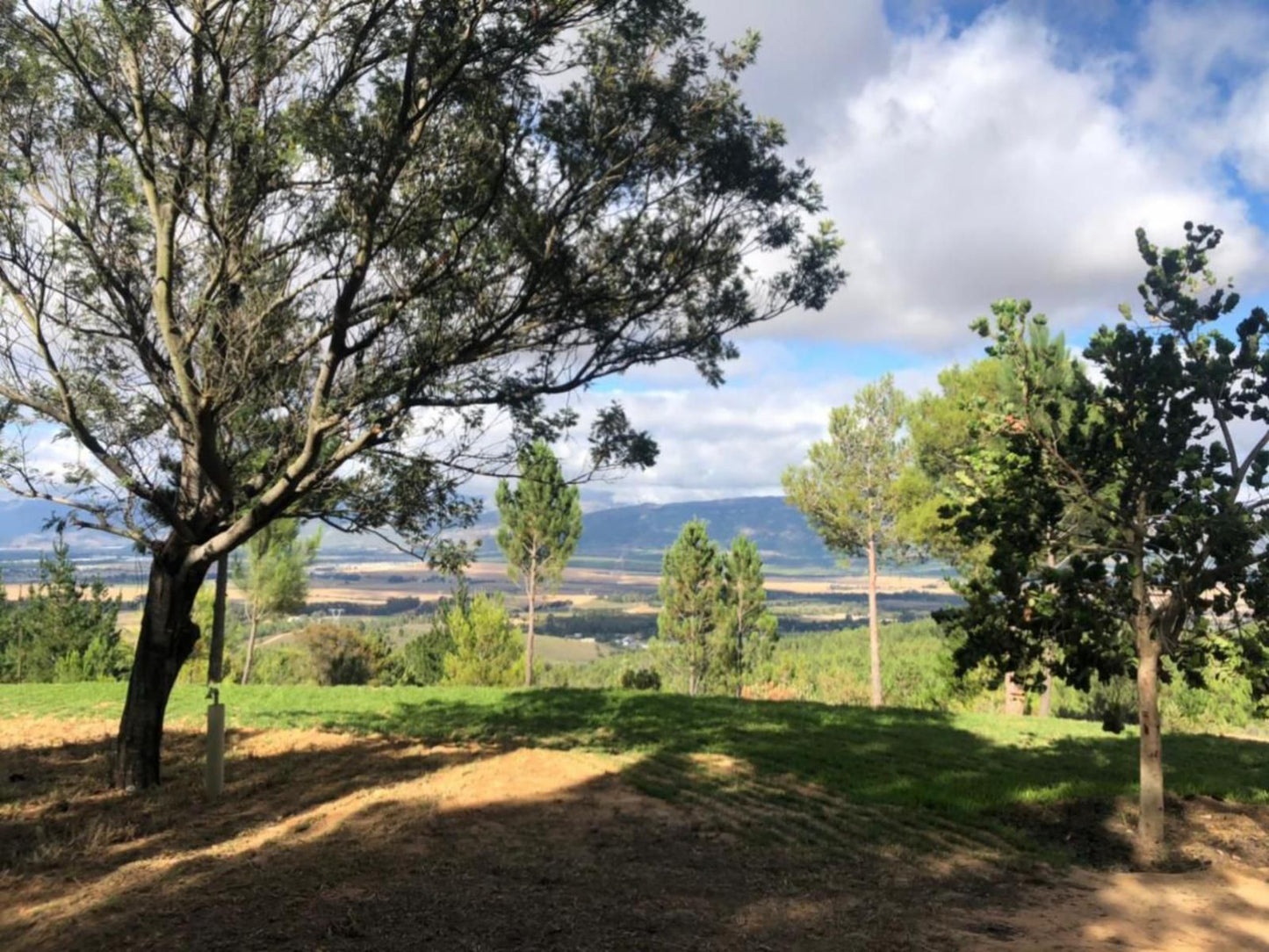 Noah Farm Campsite Wolseley Western Cape South Africa Plant, Nature, Tree, Wood