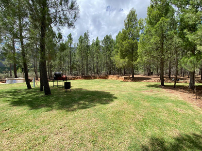 Noah Farm Campsite Wolseley Western Cape South Africa Plant, Nature