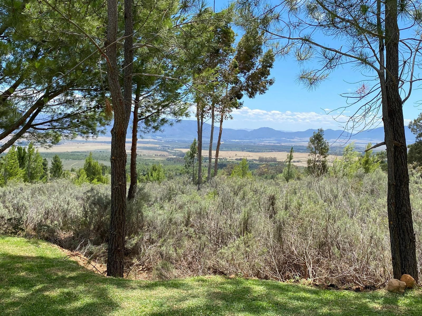 Noah Farm Campsite Wolseley Western Cape South Africa Complementary Colors, Plant, Nature, Tree, Wood