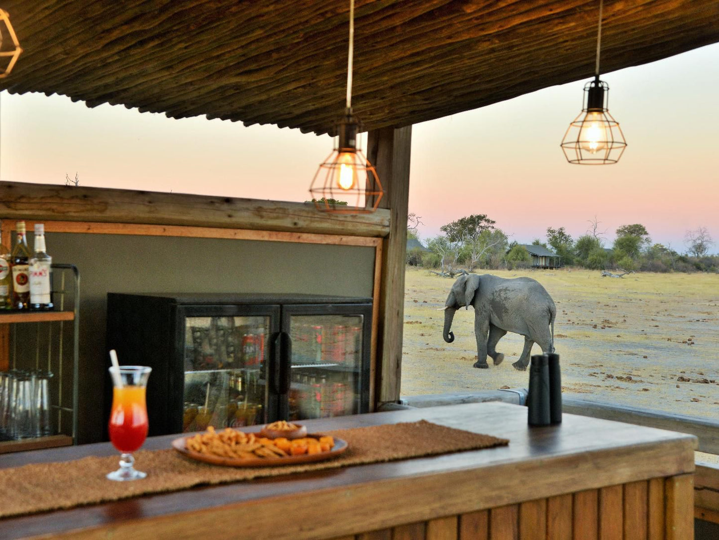 Nogatsaa Pans Chobe Lodge, Elephant, Mammal, Animal, Herbivore, Bar