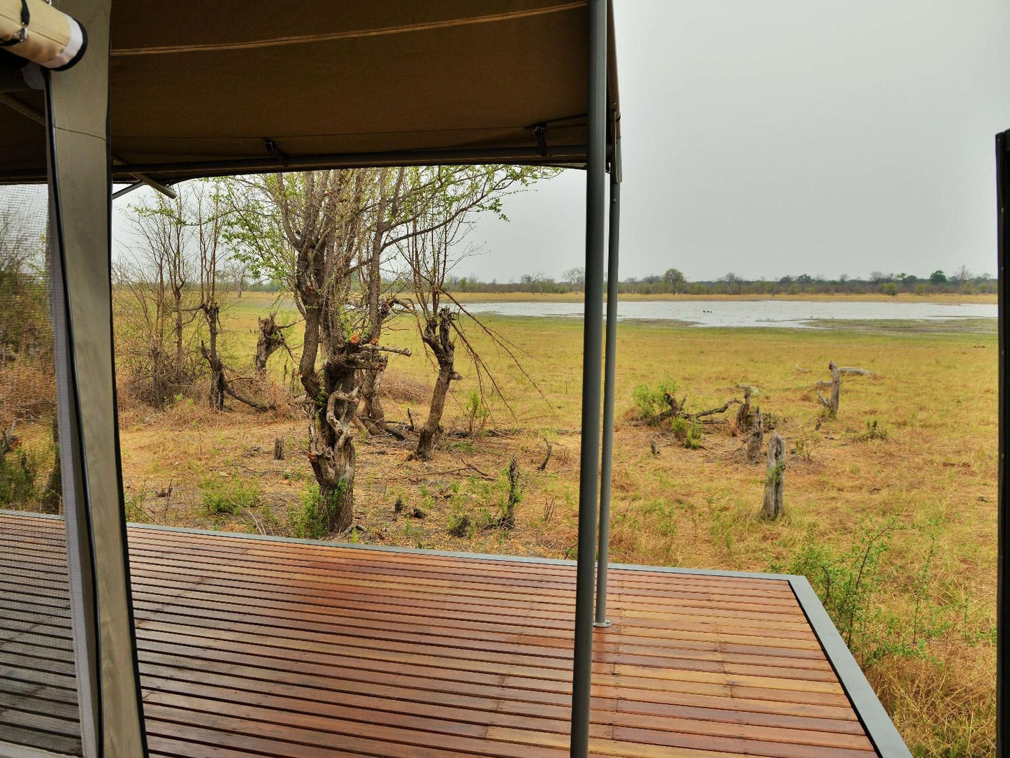 Nogatsaa Pans Chobe Lodge, King/Twin Tent 10, Field, Nature, Agriculture, Lowland