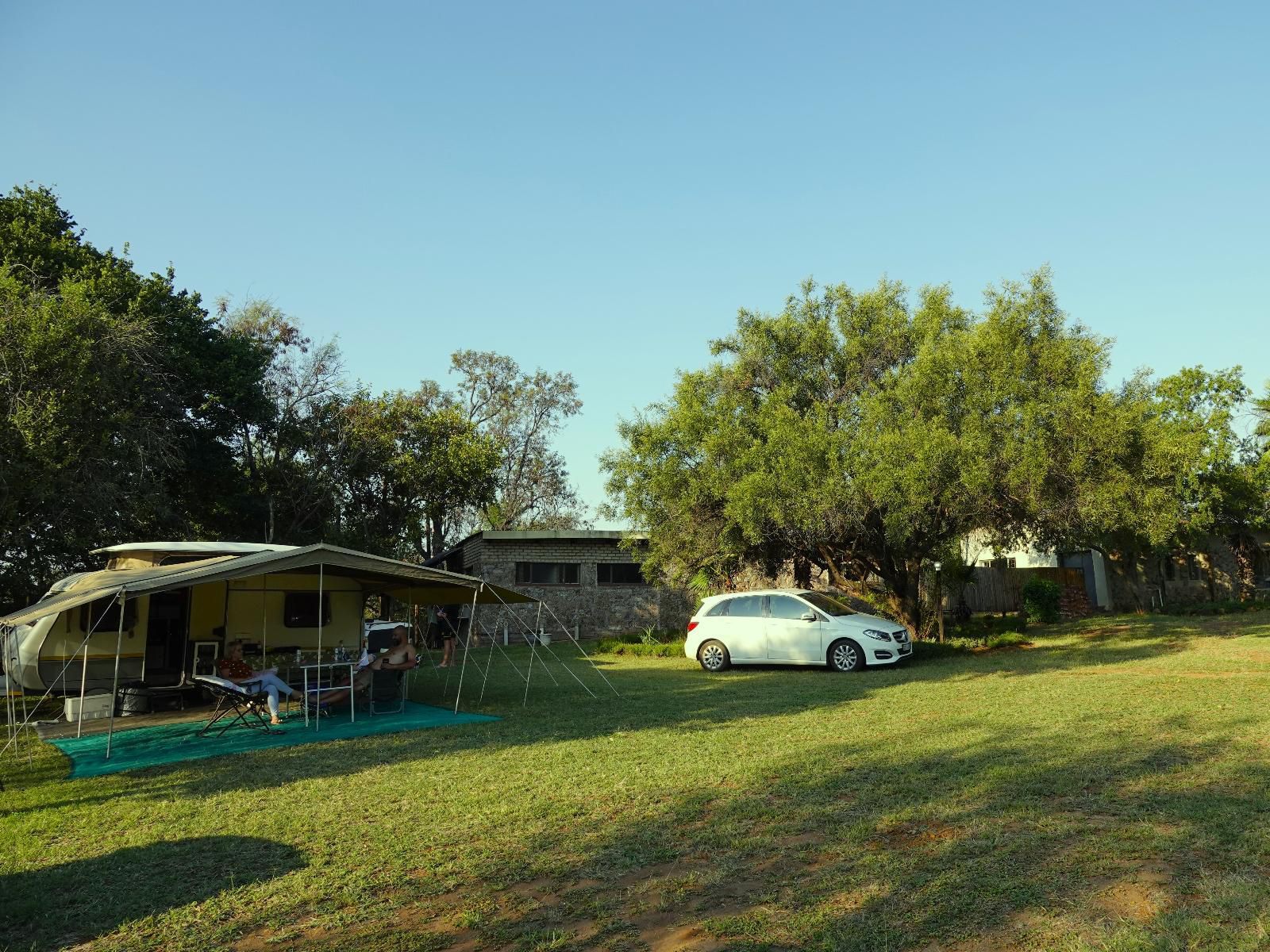 Uitvlugt Resort Rust De Winter Limpopo Province South Africa Complementary Colors, Palm Tree, Plant, Nature, Wood